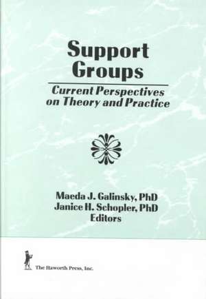 Support Groups: Current Concepts in DX, Mgt, Disability, & Hlth Economics de Maeda J. Galinsky