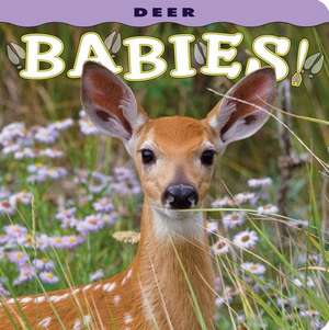 Deer Babies! de Donald M. Jones