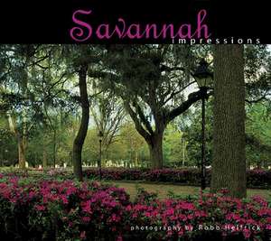 Savannah Impressions de Robb Helfrick