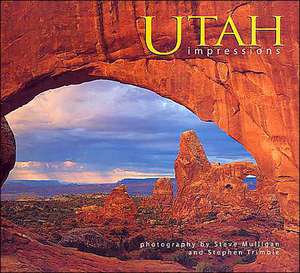 Utah Impressions de Steve Mulligan