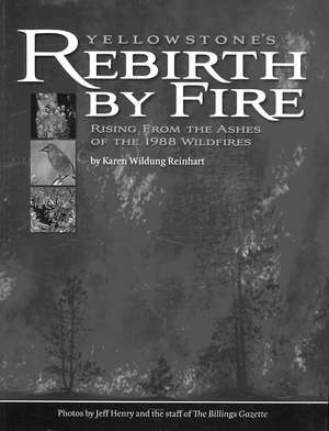 Yellowstone's Rebirth by Fire: Rising from the Ashes of the 1988 Wildfires de Karen Wildung Reinhart