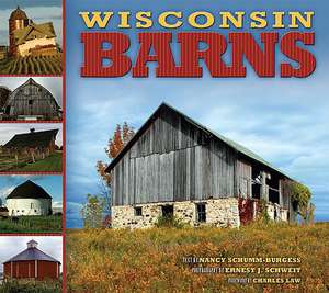 Wisconsin Barns de Nancy Schumm-Burgess