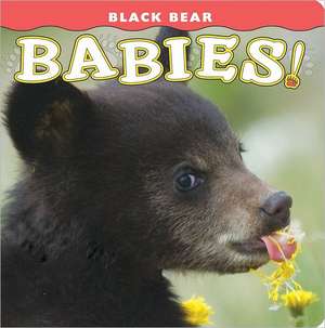 Black Bear Babies! de Donald M. Jones