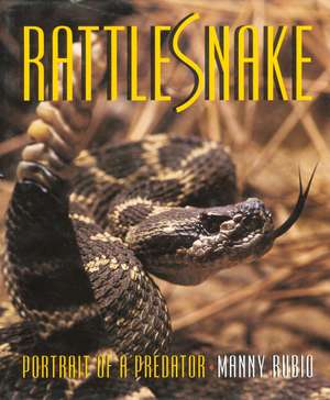 Rattlesnake: Rattlesnake de Manny Rubio