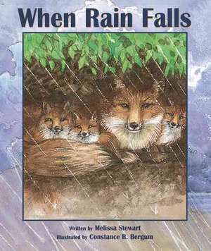 When Rain Falls de Melissa Stewart