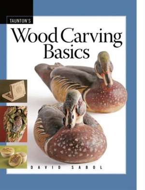 Wood Carving Basics de D Sabol