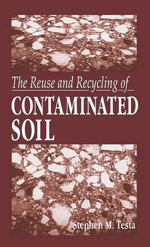 The Reuse and Recycling of Contaminated Soil de Stephen M. Testa