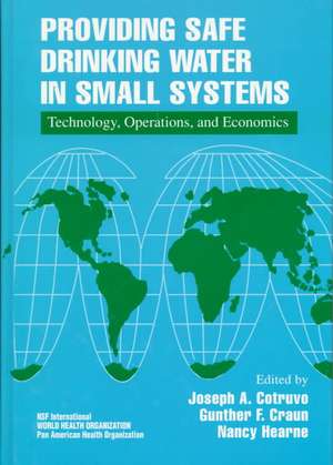 Providing Safe Drinking Water in Small Systems: Technology, Operations, and Economics de Joseph Cotruvo