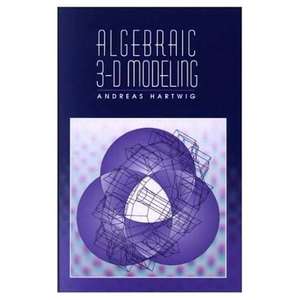 Algebraic 3-D Modeling de Andreas Hartwig