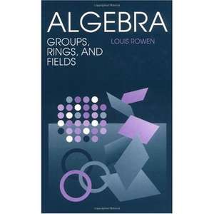 Algebra: Groups, Rings, and Fields de Louis Rowen