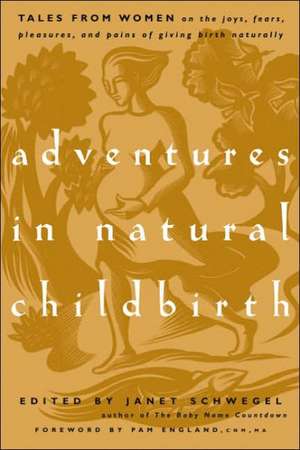 Adventures in Natural Childbirth: Tales from Women on the Joys, Fears, Pleasures, and Pains of Giving Birth Naturally de Janet Schwegel