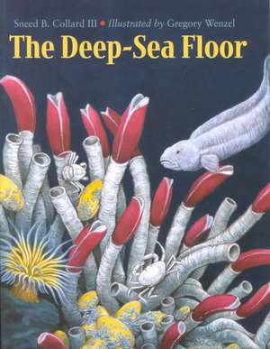 The Deep-Sea Floor de Sneed B. Collard