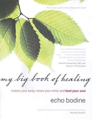 My Big Book of Healing: Restore Your Body, Renew Your Mind, and Heal Your Soul de Echo Bodine