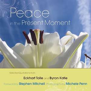 Peace in the Present Moment de Eckhart Tolle