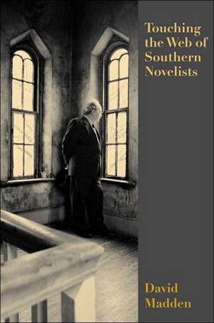 Touching the Web of Southern Novelists de David Madden