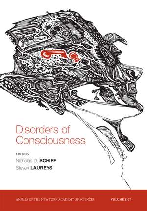 Disorders of Consciousness de ND Schiff