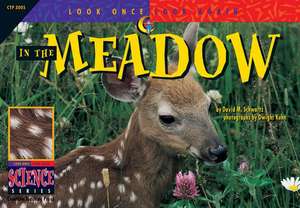 In the Meadow de David M. Schwartz