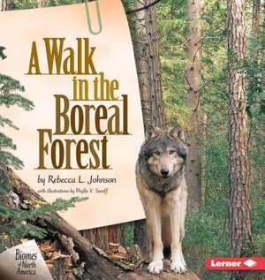 A Walk in the Boreal Forest de Rebecca L. Johnson