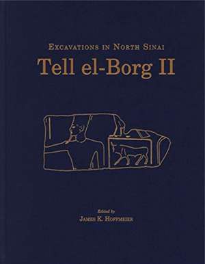 Tell el–Borg II – Excavations in North Sinai de James K. Hoffmeier