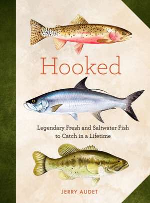 Hooked de Jerry Audet