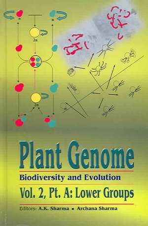 Plant Genome: Biodiversity and Evolution, Vol. 2, Part A: Lower Groups de A K Sharma