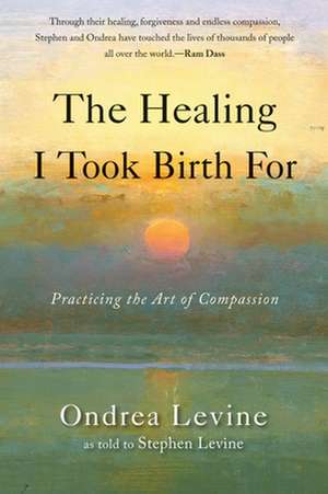 The Healing I Took Birth for de Ondrea Levine