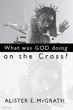 What Was God Doing on the Cross? de Alister E. McGrath