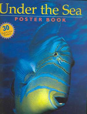 Under the Sea Poster Book de Andy Case