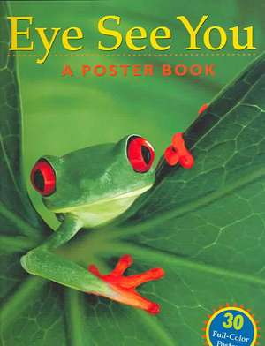 Eye See You: A Poster Book de Deborah L. Balmuth