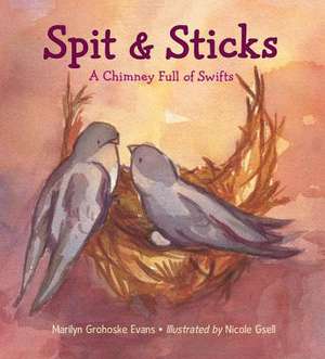 Spit & Sticks: A Chimney Full of Swifts de Marilyn Grohoske Evans