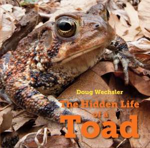 The Hidden Life of a Toad de Doug Wechsler