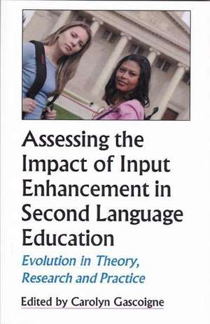 Assessing the Impact of Input Enhancement in Second Language Education: Evolution in Theory, Research and Practice de Carolyn Gascoigne