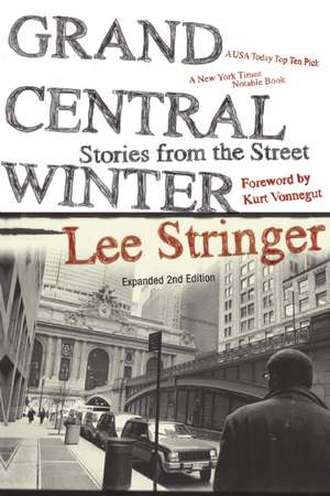 Grand Central Winter de Lee Stringer