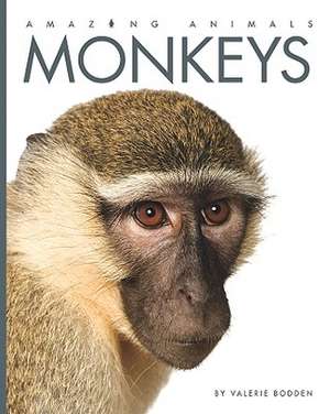 Monkeys de Valerie Bodden