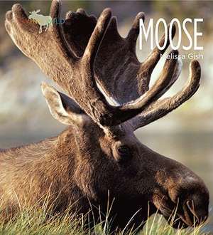 Moose de Melissa Gish