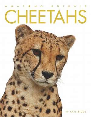 Cheetahs de Kate Riggs