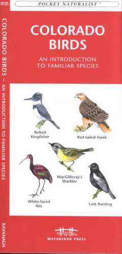 Colorado Birds: A Folding Pocket Guide to Familiar Species de James Kavanagh