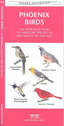 Phoenix Birds: An Introduction to Familiar Species in the Valley of the Sun de James Kavanagh