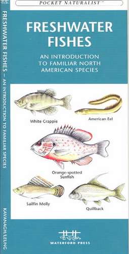 Freshwater Fishes: An Introduction to Familiar North American Species de James Kavanagh