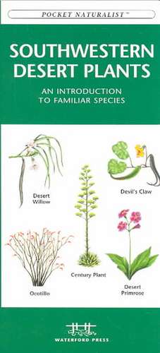 Southwestern Desert Plants: An Introduction to Familiar Species de James Kavanagh