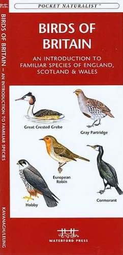 Birds of Britain: A Folding Pocket Guide to Familiar Species of England, Scotland & Wales de James Kavanagh