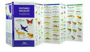 Ontario Wildlife: A Folding Pocket Guide to Familiar Species de James Kavanagh