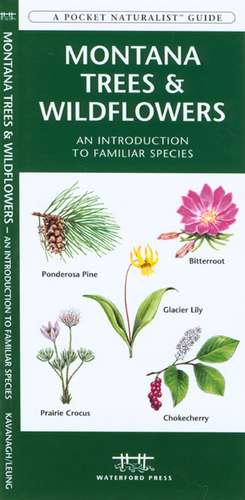 Montana Trees & Wildflowers: An Introduction to Familiar Species