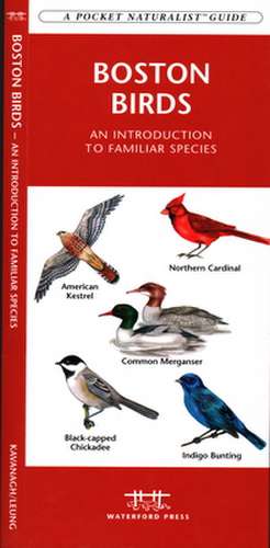 Boston Birds: An Introduction to Familiar Species de James Kavanagh