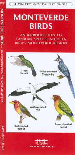 Monteverde Birds: An Introduction to Familiar Species in Costa Rica's Monteverde Region de James Kavanagh