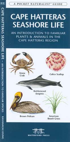 Cape Hatteras Seashore Life: An Introduction to Familiar Plants & Animals in the Cape Hatteras Region de James Kavanagh