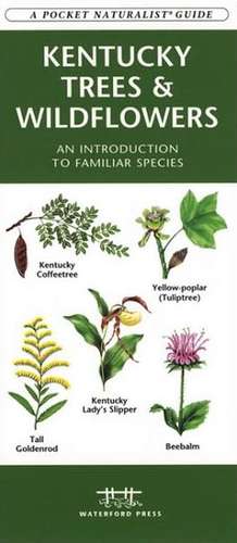 Kentucky Trees & Wildflowers: An Introduction to Familiar Species de James Kavanagh