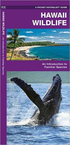 Hawaii Wildlife: An Introduction to Familiar Species de James Kavanagh