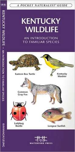 Kentucky Wildlife: An Introduction to Familiar Species de James Kavanagh