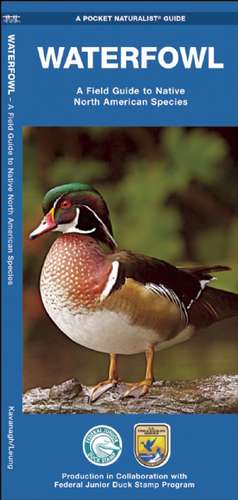 Waterfowl: A Field Guide to Native North American Species de James Kavanagh